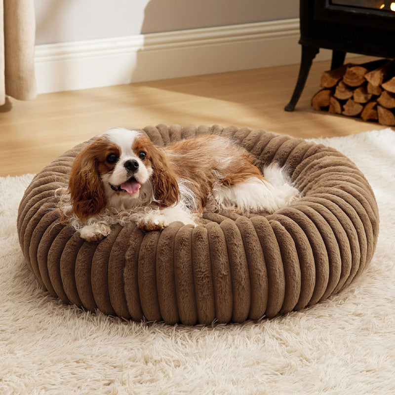 The Ultimate Cozy Haven for Your Furry Friends